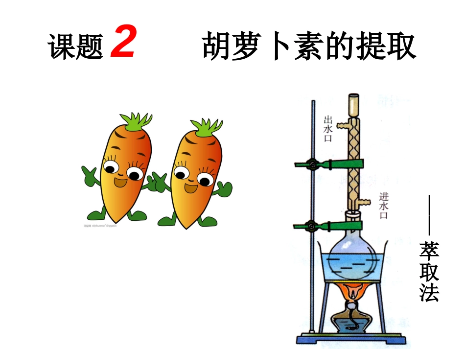 生物选修1：6.2胡萝卜素的提取_第1页