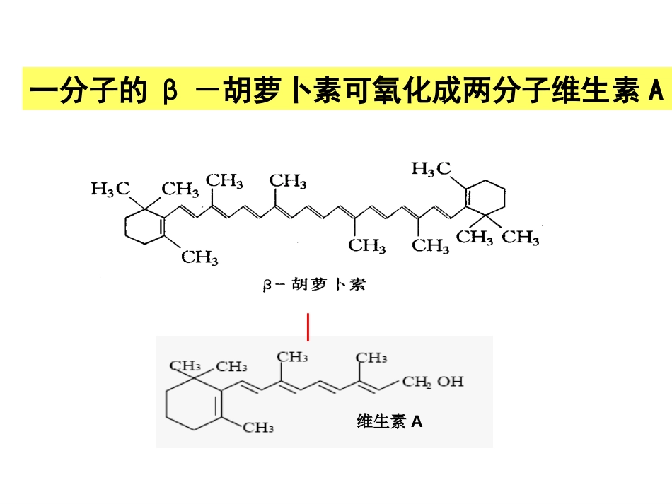 生物选修1：6.2胡萝卜素的提取_第3页