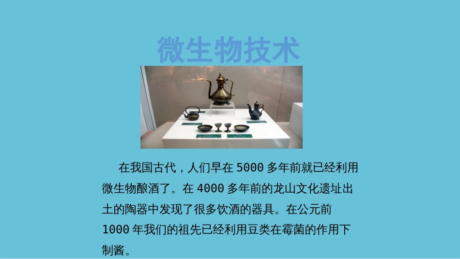 首师版小学六年级科学下册微生物技术_第2页