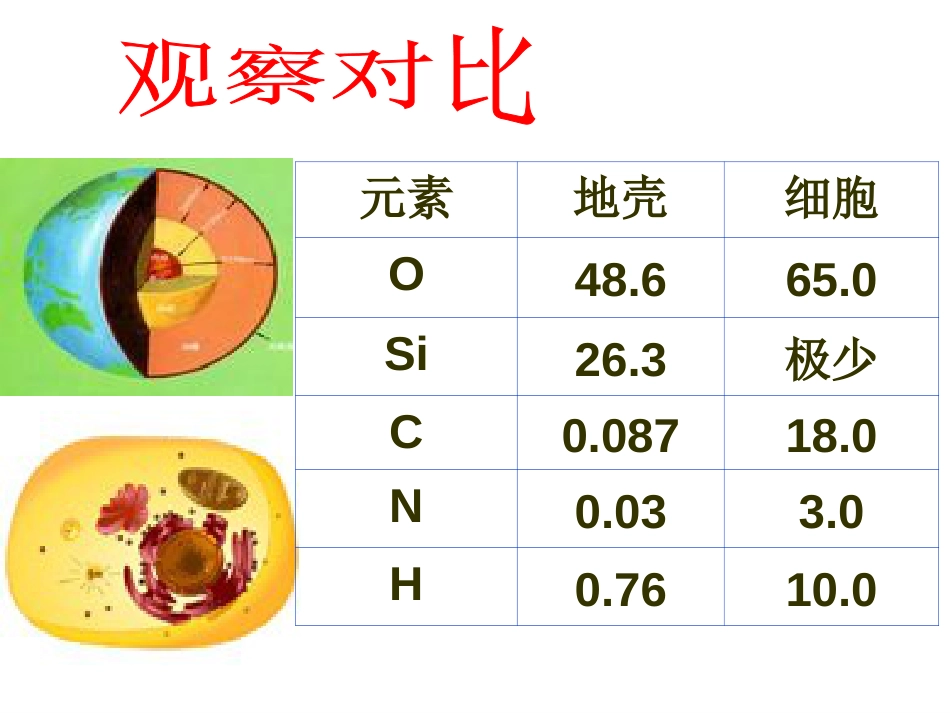 细胞中的元素和化合物.[54页]_第2页