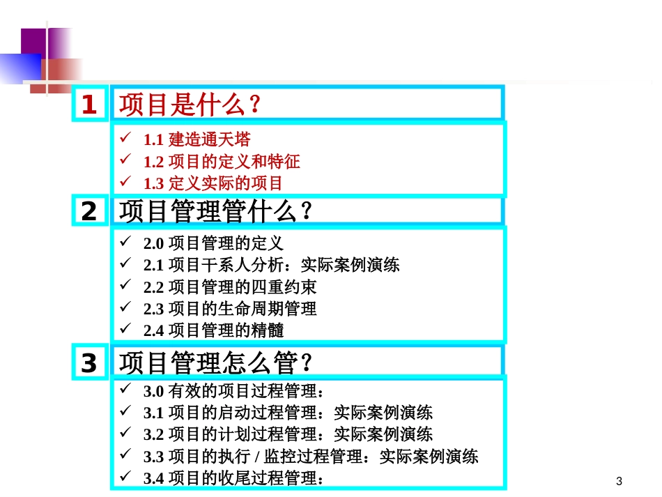 项目管理讲师手册5.0_第3页