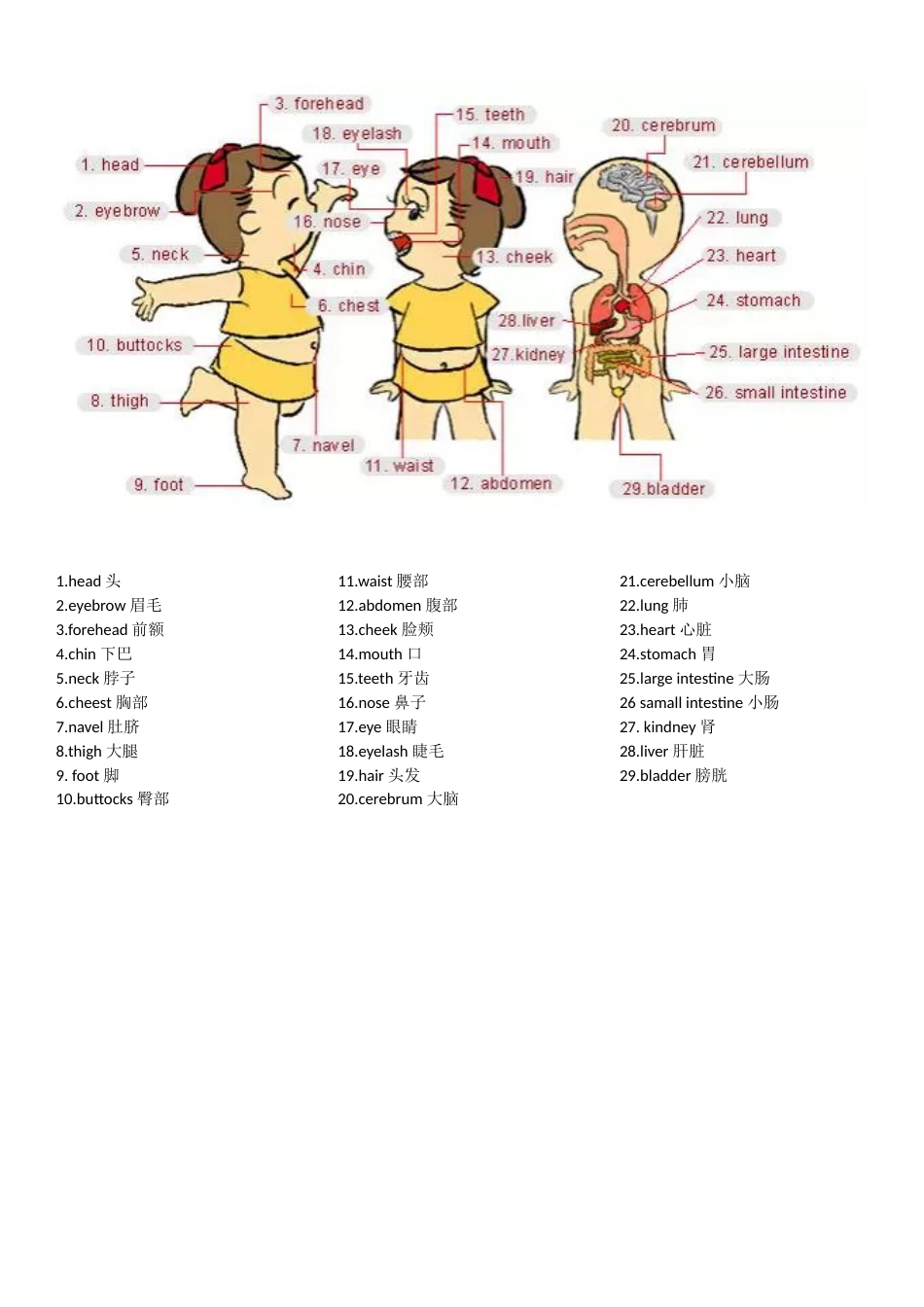 英语日常生活词汇附图[35页]_第3页