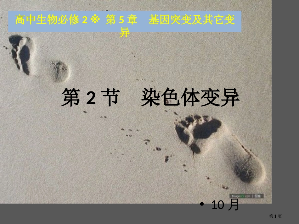 生物必修课堂教学染色体变异公开课一等奖优质课大赛微课获奖课件_第1页