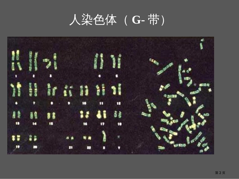 生物必修课堂教学染色体变异公开课一等奖优质课大赛微课获奖课件_第2页
