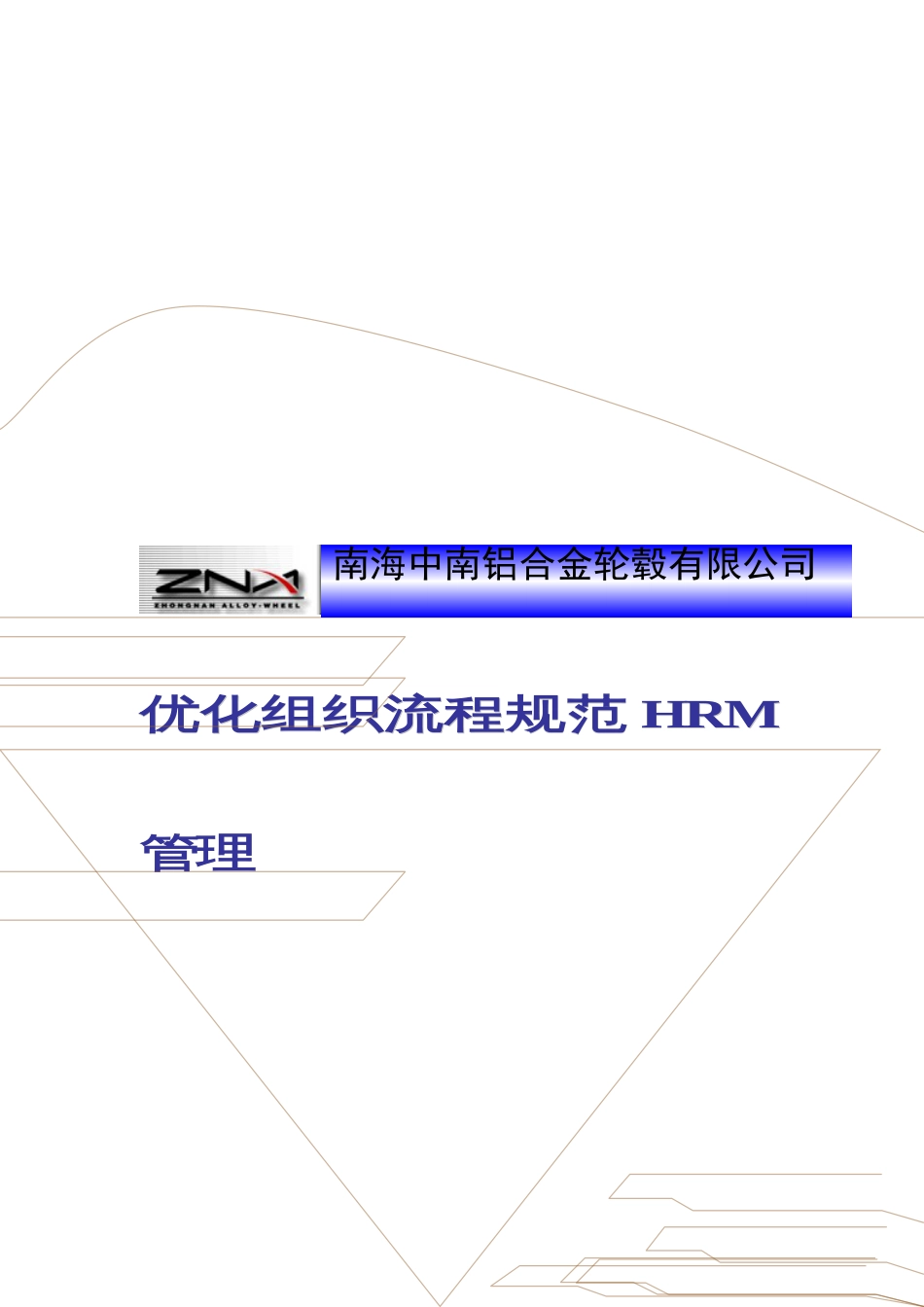 著名咨询公司中南轮毂优化组织流程规范HRM管理方案_第1页