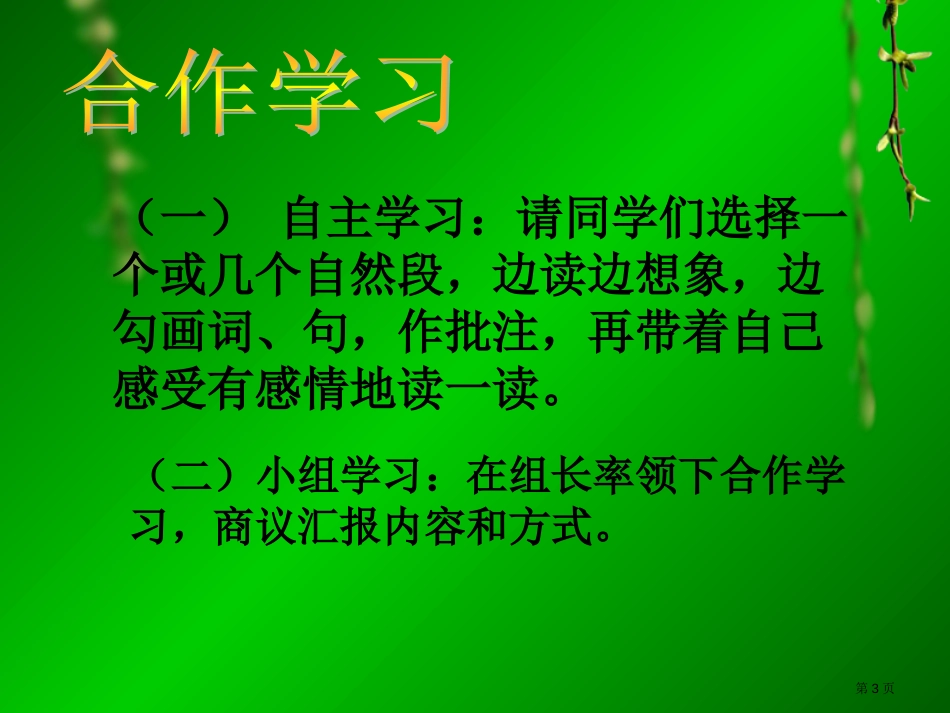 5、翠鸟第二课时市公开课金奖市赛课一等奖课件_第3页