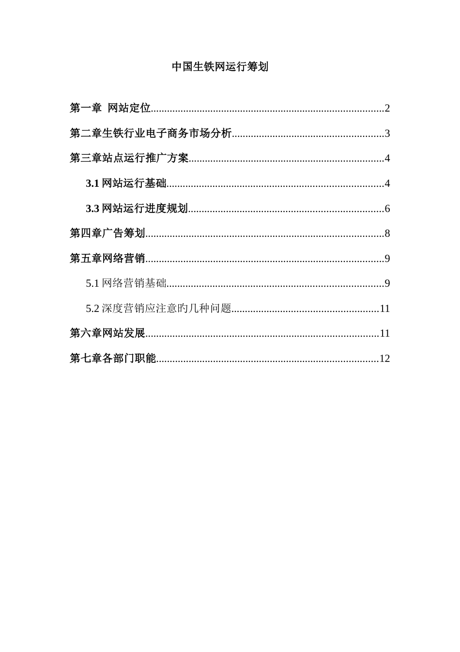 中国生铁网运营策划_第1页