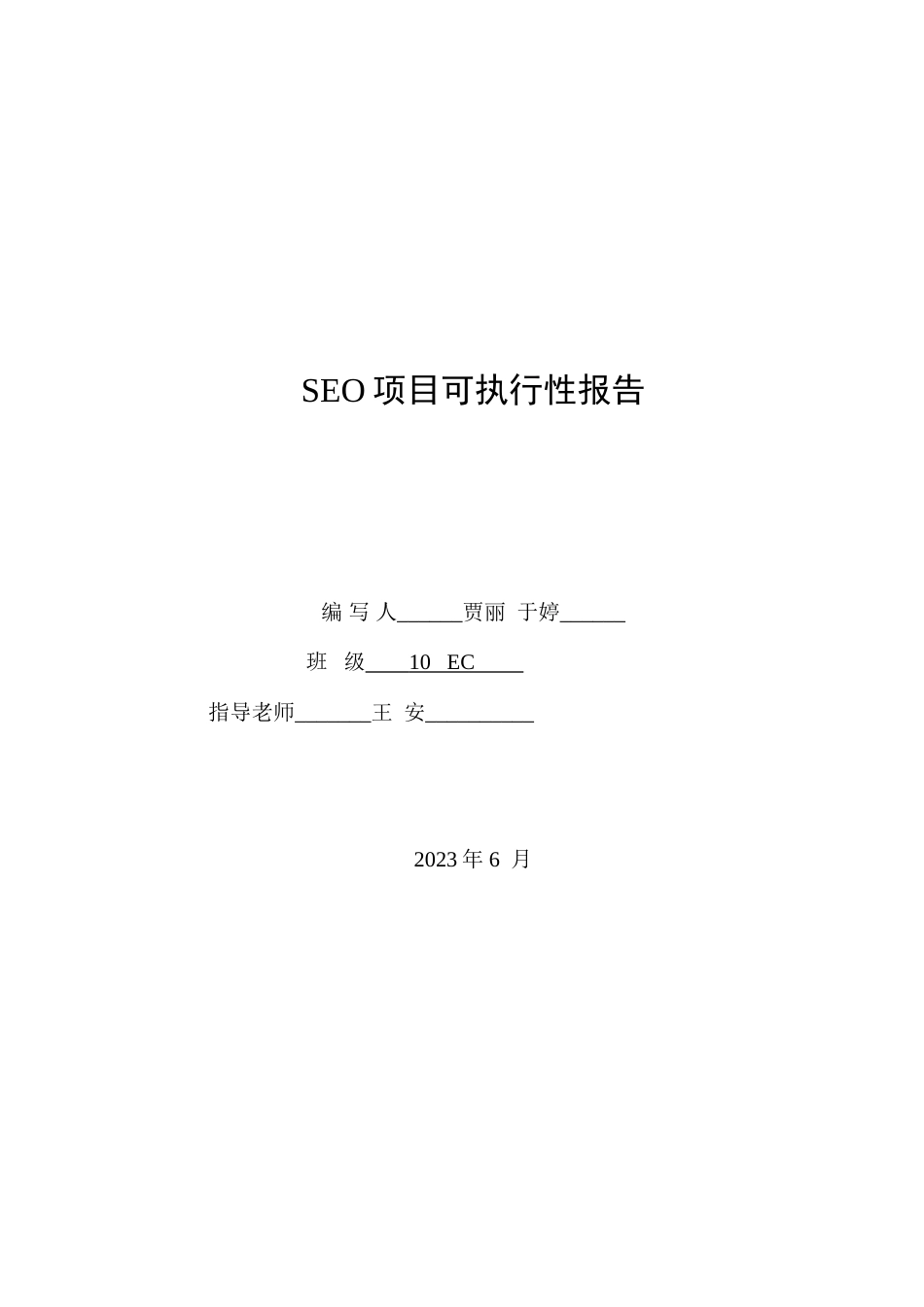 SEO项目可执行性报告_第1页