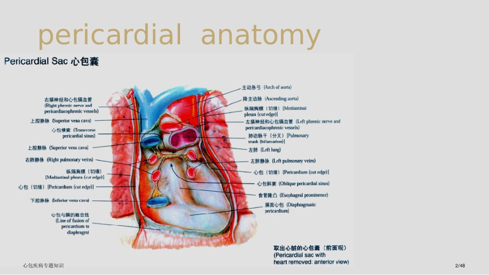 心包疾病专题知识_第2页