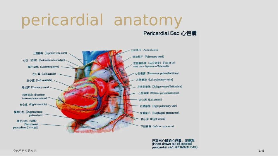 心包疾病专题知识_第3页