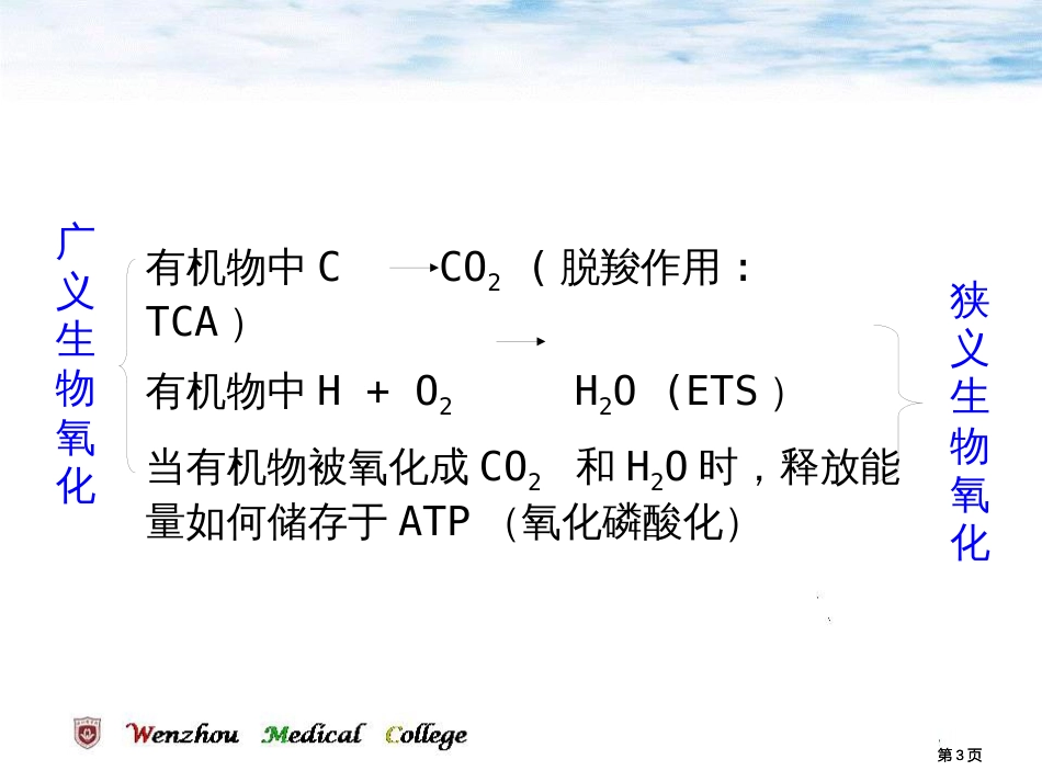 生物氧化专业知识公开课一等奖优质课大赛微课获奖课件_第3页