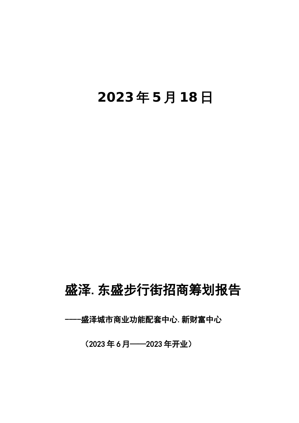 盛泽.东盛步行街招商策划方案_第2页