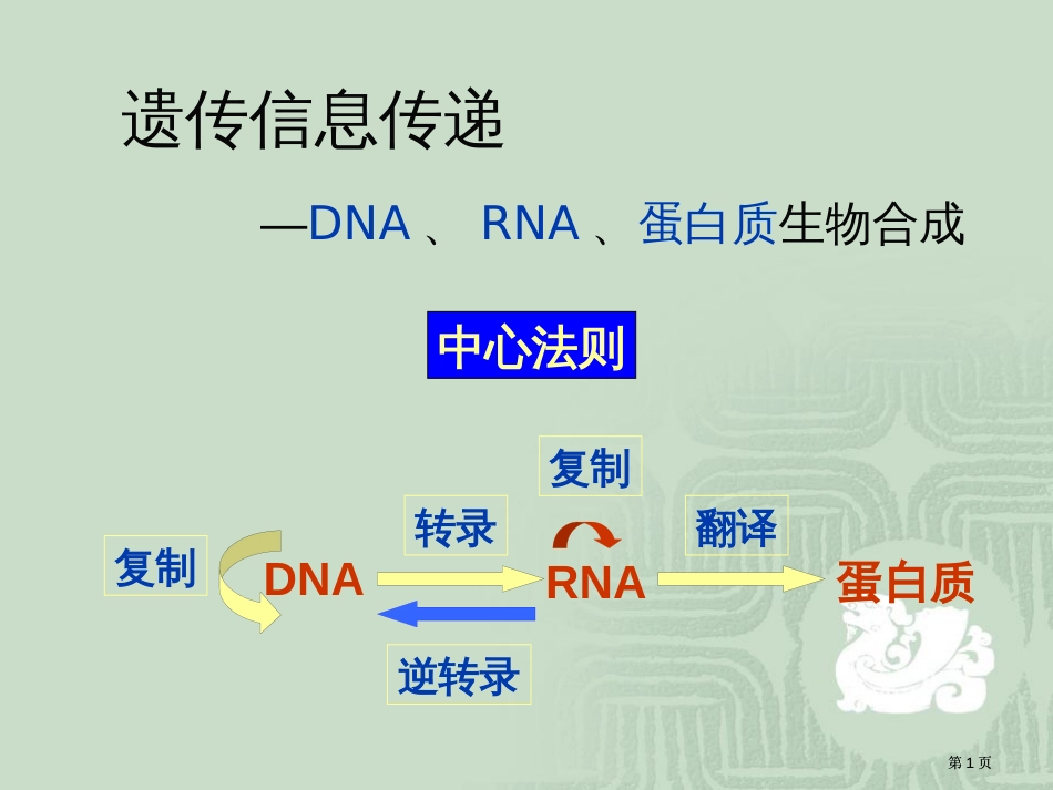 生物化学dna复制转录翻译公开课一等奖优质课大赛微课获奖课件_第1页