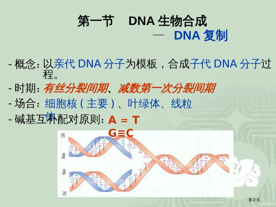 生物化学dna复制转录翻译公开课一等奖优质课大赛微课获奖课件_第2页