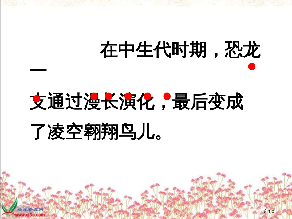 鲁教版语文三年级下册飞向蓝天的恐龙课件1市公开课金奖市赛课一等奖课件_第3页