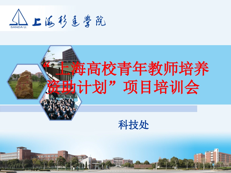 上海高校青年教师培养资助计划项目培训会市公开课金奖市赛课一等奖课件_第1页