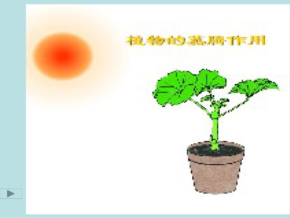 绿色植物参和生物圈的水循环公开课获奖课件_第2页