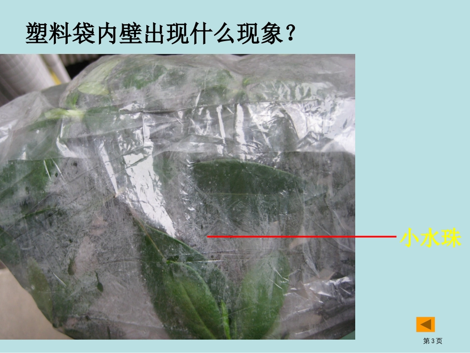 绿色植物参和生物圈的水循环公开课获奖课件_第3页