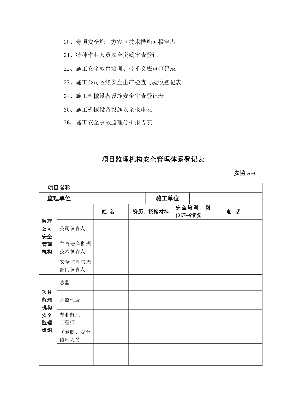 安全统表新版_第3页