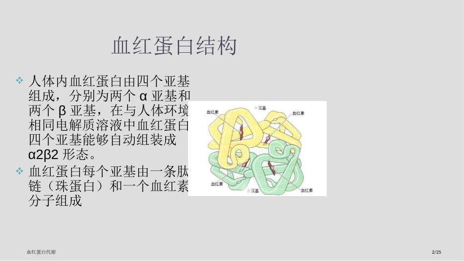 血红蛋白代谢_第2页