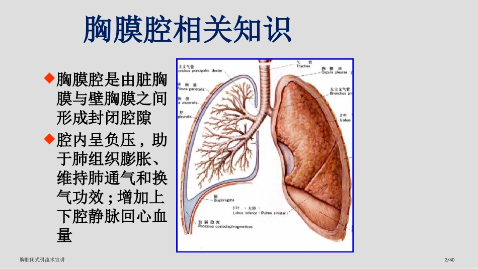 胸腔闭式引流术宣讲_第3页