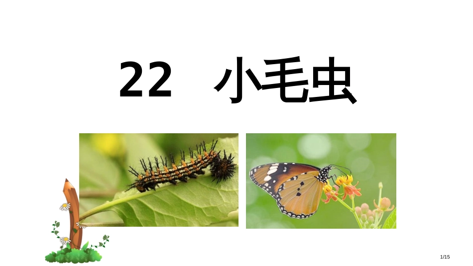 部编教材二年级语文下册22-小毛虫市名师优质课赛课一等奖市公开课获奖课件_第1页
