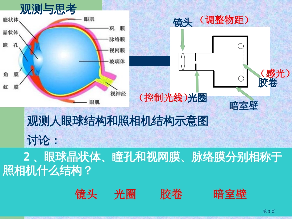 人体对外界环境的感知复习市公开课金奖市赛课一等奖课件_第3页