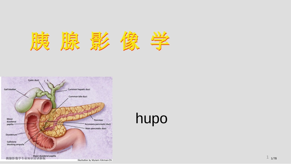 胰腺影像学专业知识宣讲新版_第1页