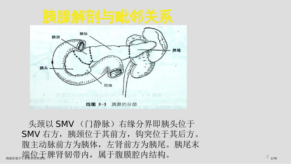 胰腺影像学专业知识宣讲新版_第2页
