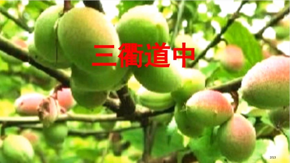 三衢道中市名师优质课赛课一等奖市公开课获奖课件_第2页