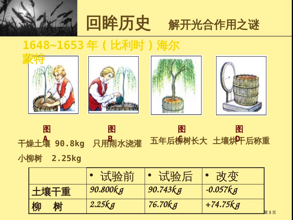 生物光合作用公开课一等奖优质课大赛微课获奖课件_第3页
