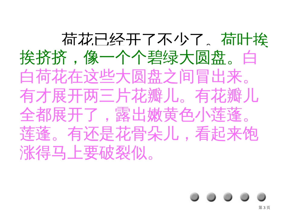 荷花教学PPT市公开课金奖市赛课一等奖课件_第3页