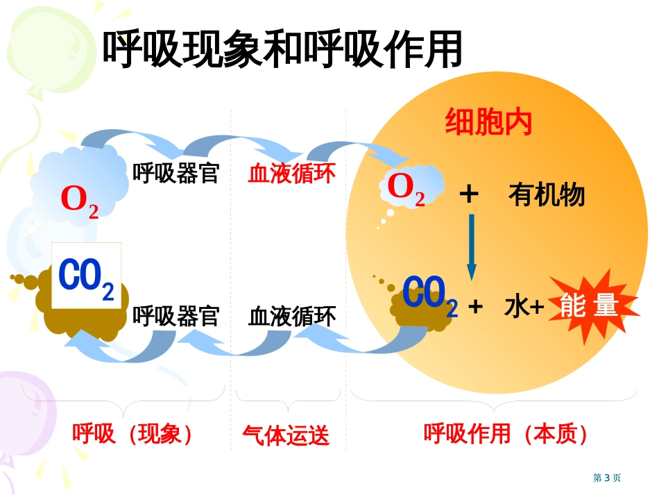 人教版教学atp的主要来源细胞呼吸-公开课一等奖优质课大赛微课获奖课件_第3页