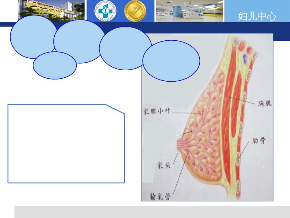 围哺乳期乳房保健_第2页