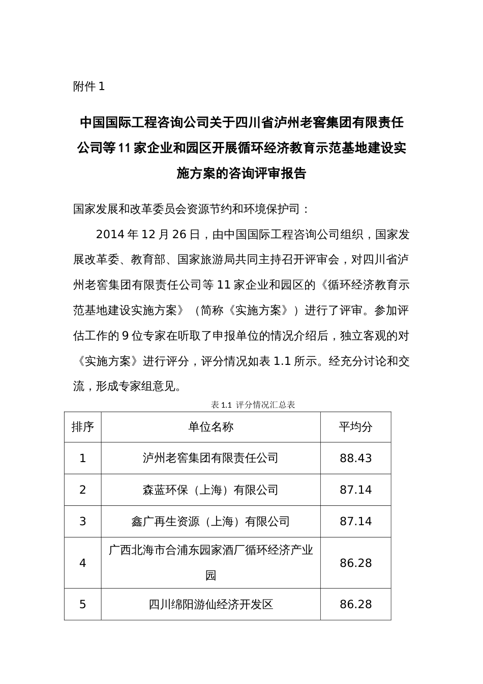 评审报告新版_第1页