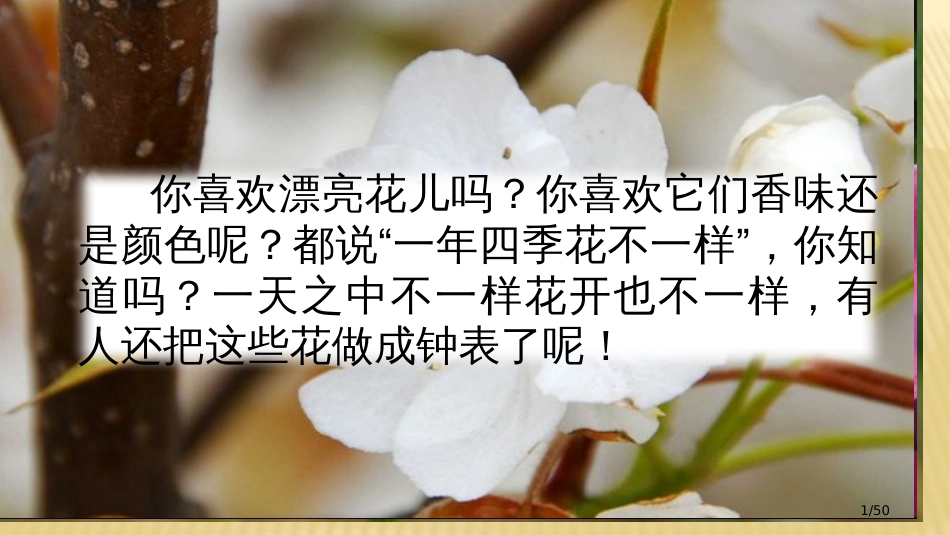 13、花钟市名师优质课赛课一等奖市公开课获奖课件_第1页