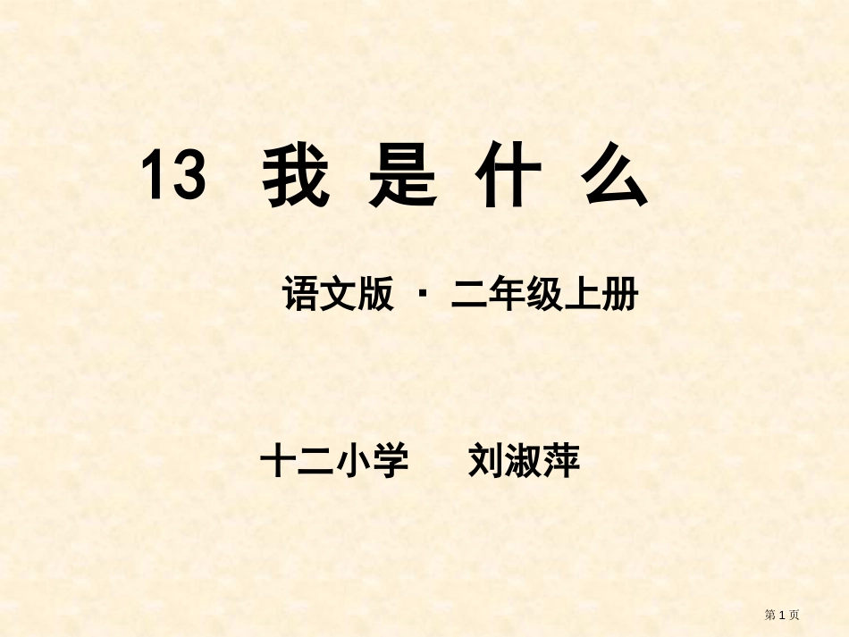 13我是什么第二课时10.18市公开课金奖市赛课一等奖课件_第1页