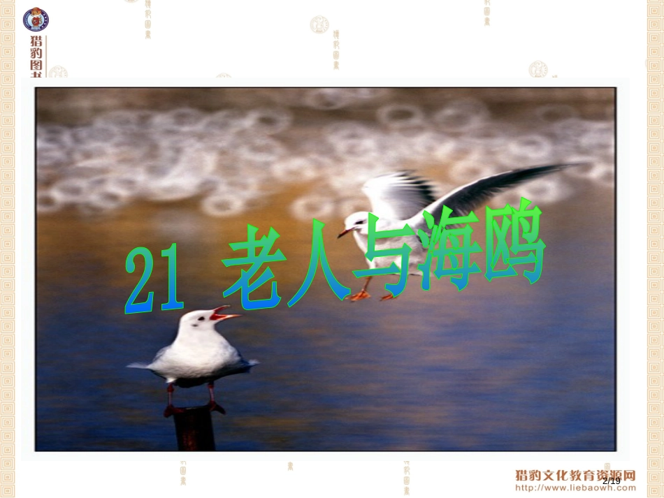 老人与海鸥课件市名师优质课赛课一等奖市公开课获奖课件_第2页