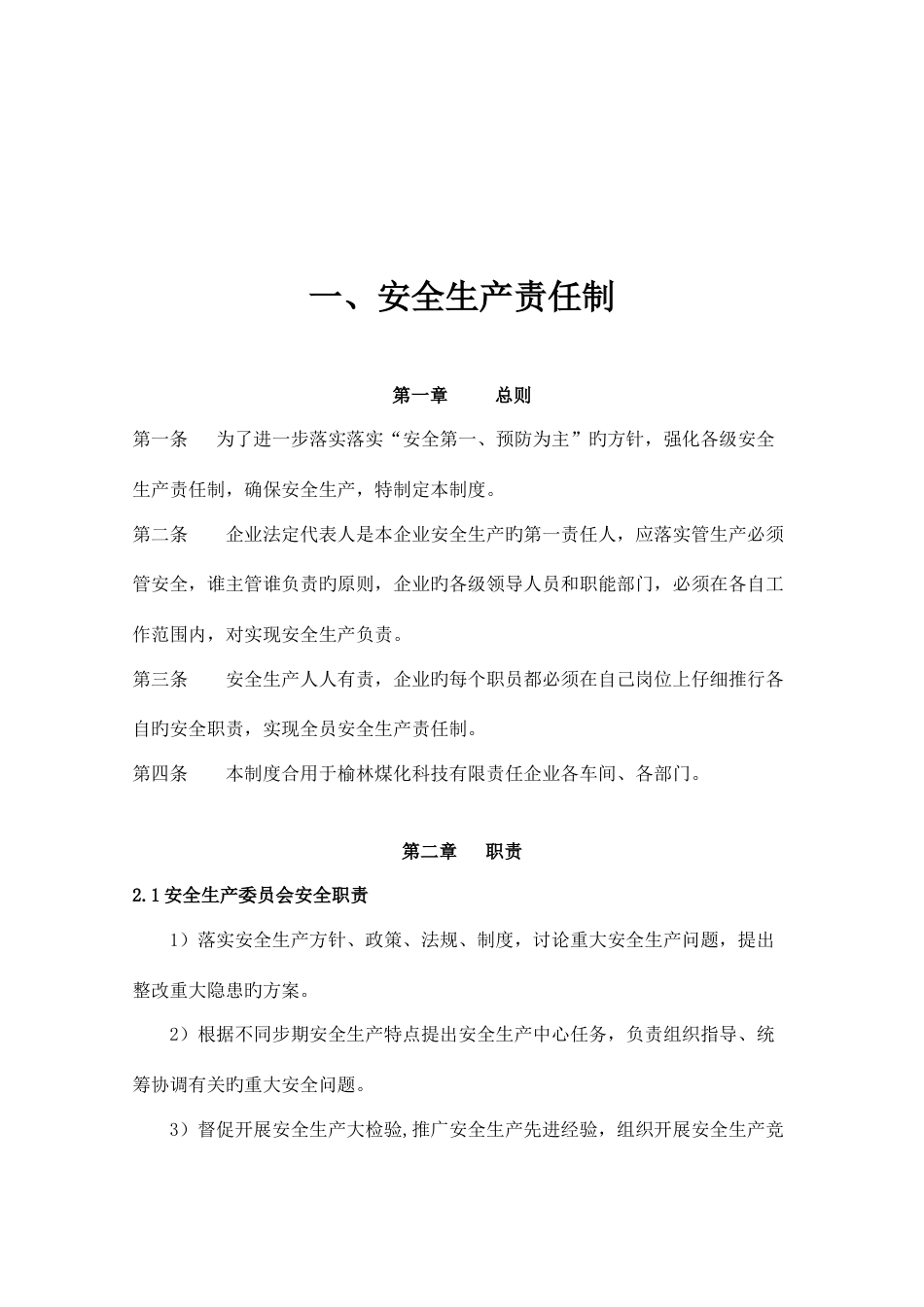 煤化科技有限责任公司安全管理制度汇编_第2页