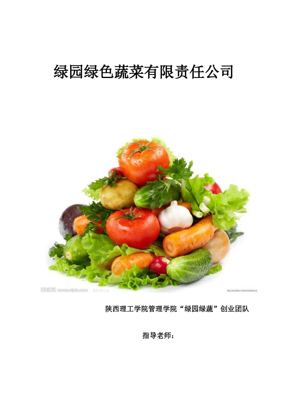 绿色蔬菜创业计划书_第1页