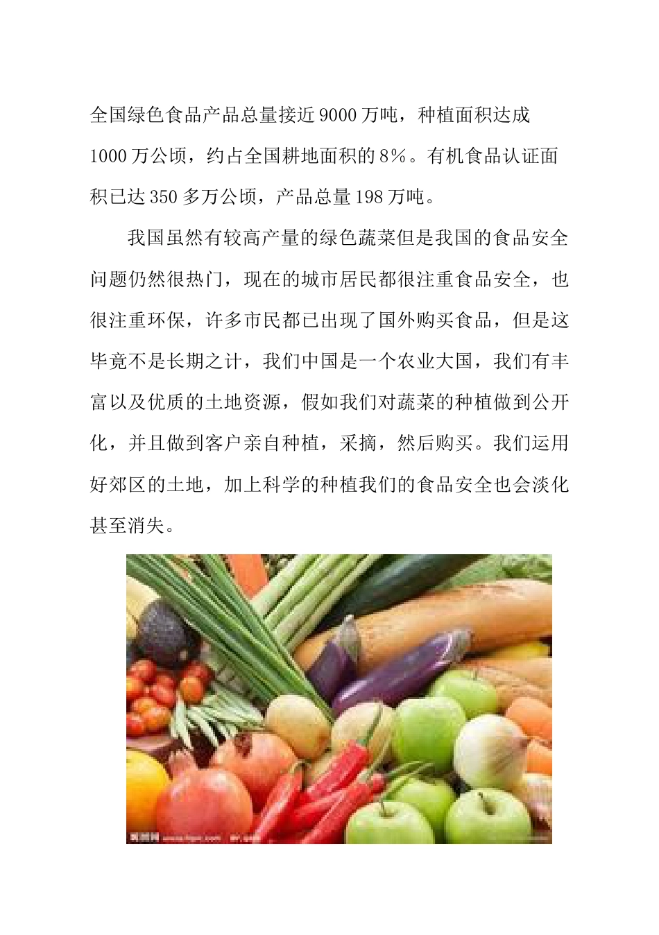 绿色蔬菜创业计划书_第3页