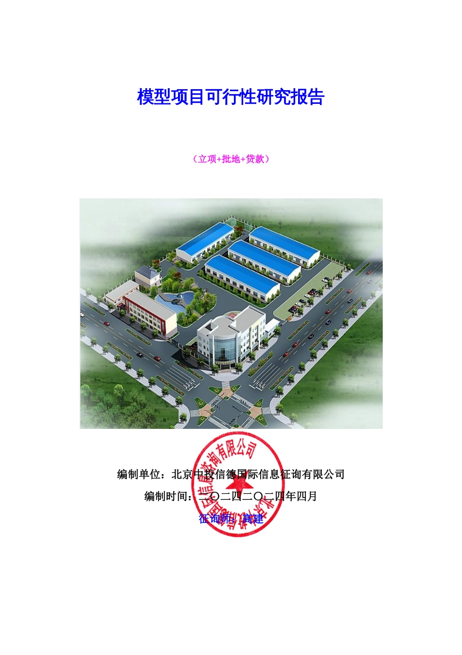 模型项目可行性研究报告_第1页
