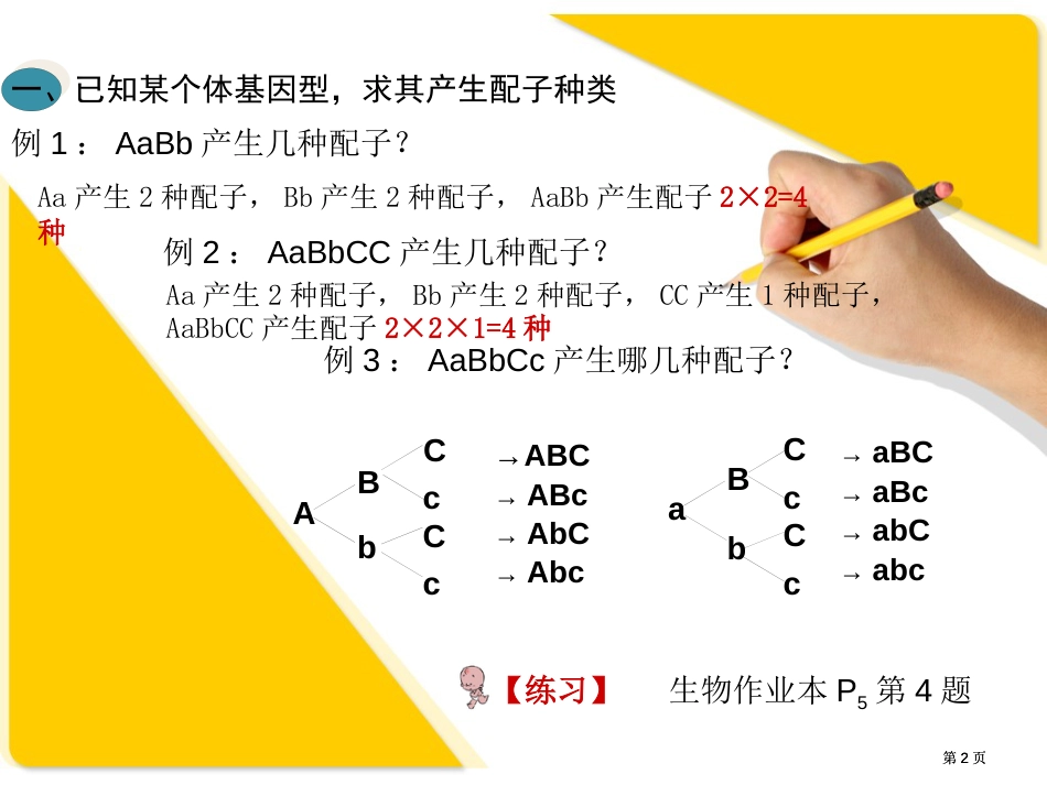生物自由组合定律习题课公开课一等奖优质课大赛微课获奖课件_第2页