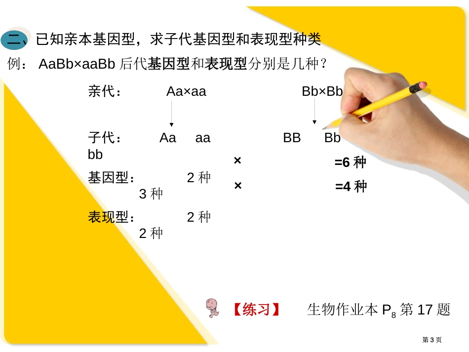 生物自由组合定律习题课公开课一等奖优质课大赛微课获奖课件_第3页