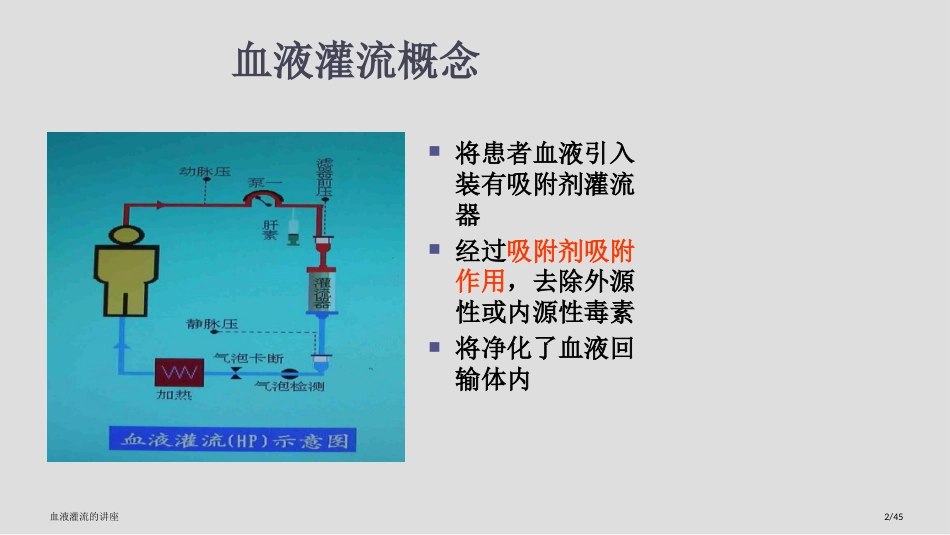 血液灌流的讲座_第2页