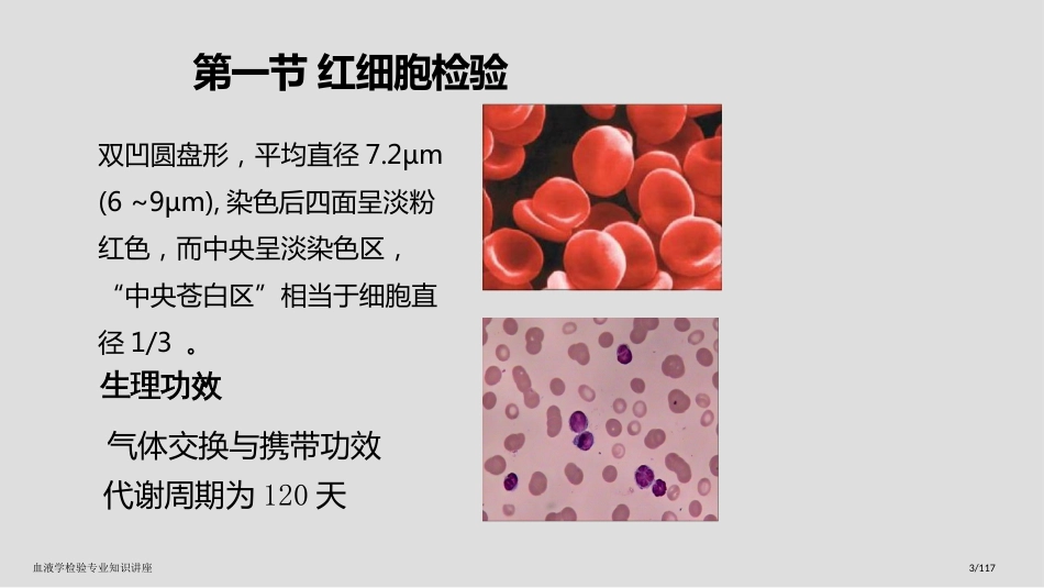 血液学检验专业知识讲座_第3页