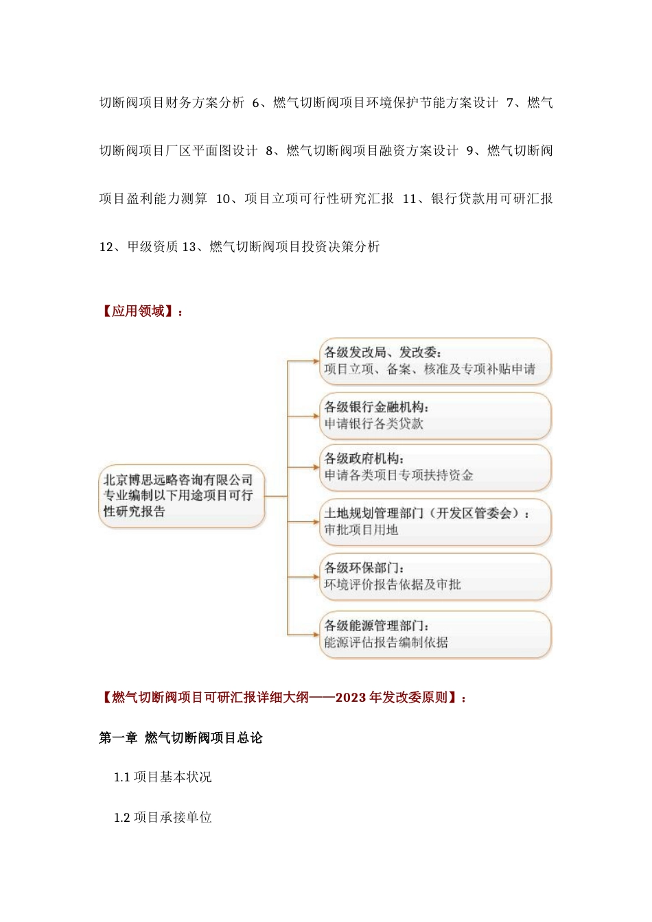 如何设计燃气切断阀项目可行性研究报告技术工艺设备选型财务概算厂区规划标准方案_第3页