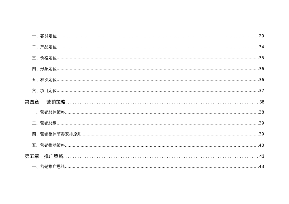 武汉光谷新项目全程策划案_第2页