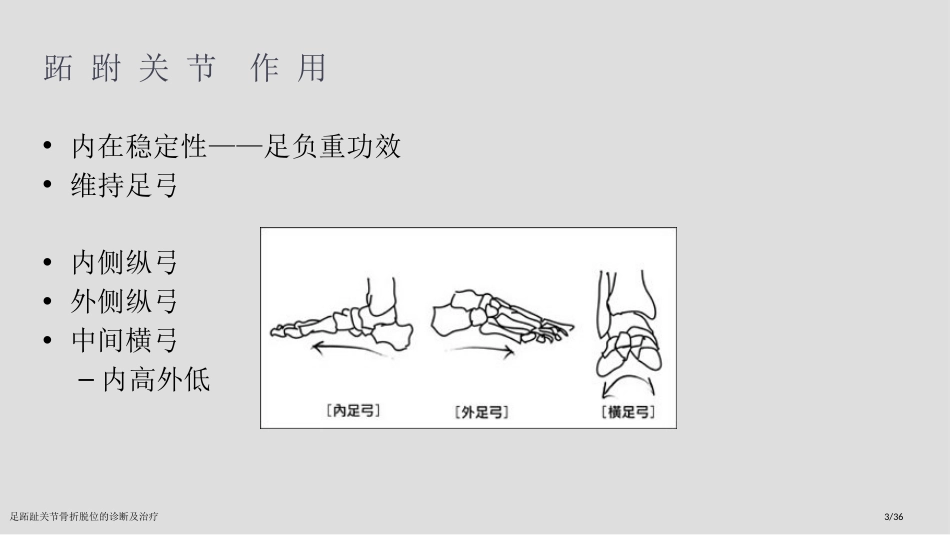 足跖趾关节骨折脱位的诊断及治疗_第3页