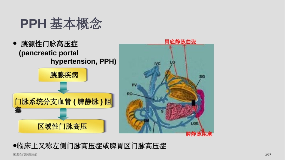 胰源性门脉高压症_第2页